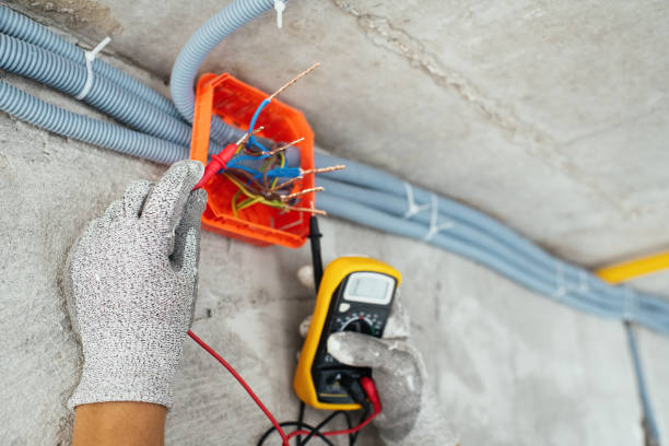 Best Electric Panel Repair  in Ivanhoe, TX